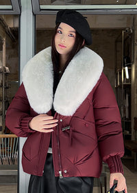 Red Type With White Collar