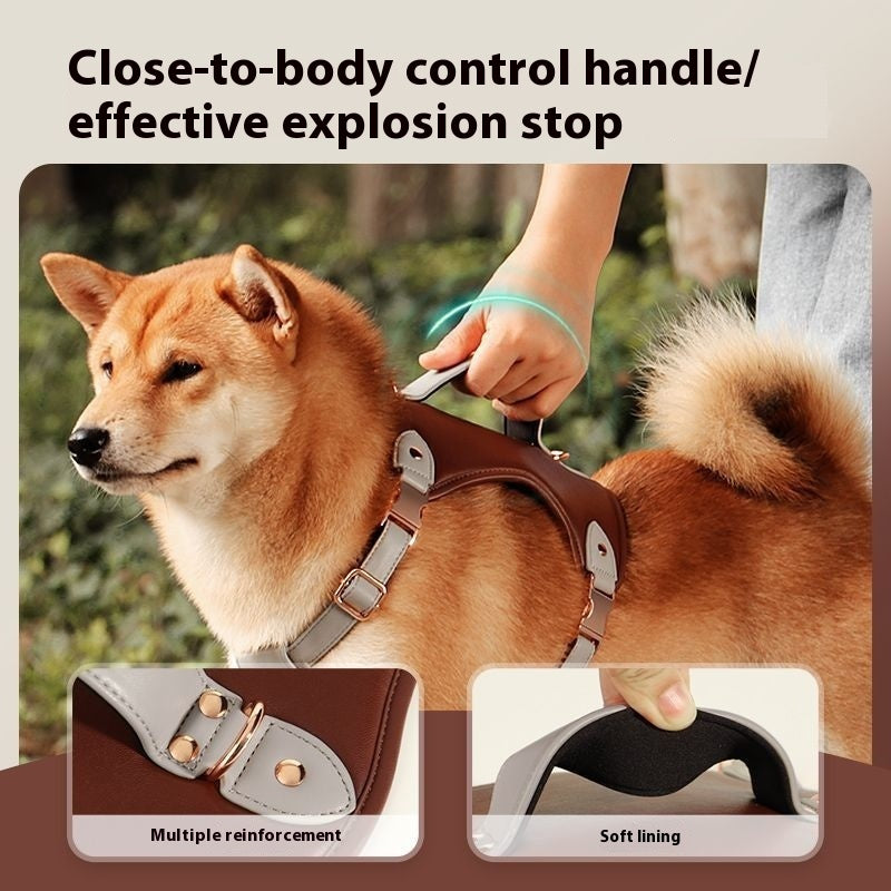 Medium To Large Pet Vest Style Chest Strap