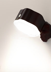 Black White Light