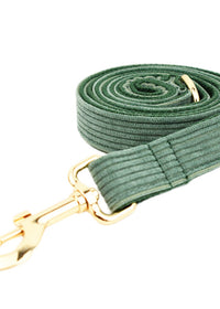 Dog leash1