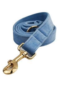 Dog leash1