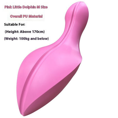 DolphinSpine Corrector: Yoga Pilates Dolphin Spine Corrector Fitness Equipment