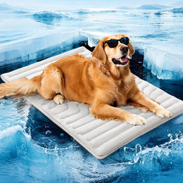 Pet Car Mats