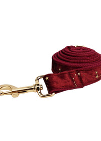 Dog leash1