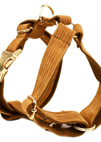 Dog vest4