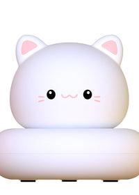 Cute pet white kitten