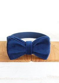 Bow Tie plus Collar