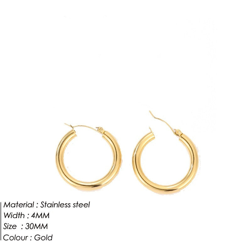 Women's Stainless Steel Fabulous Personality Earrings