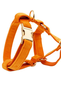 Dog vest3